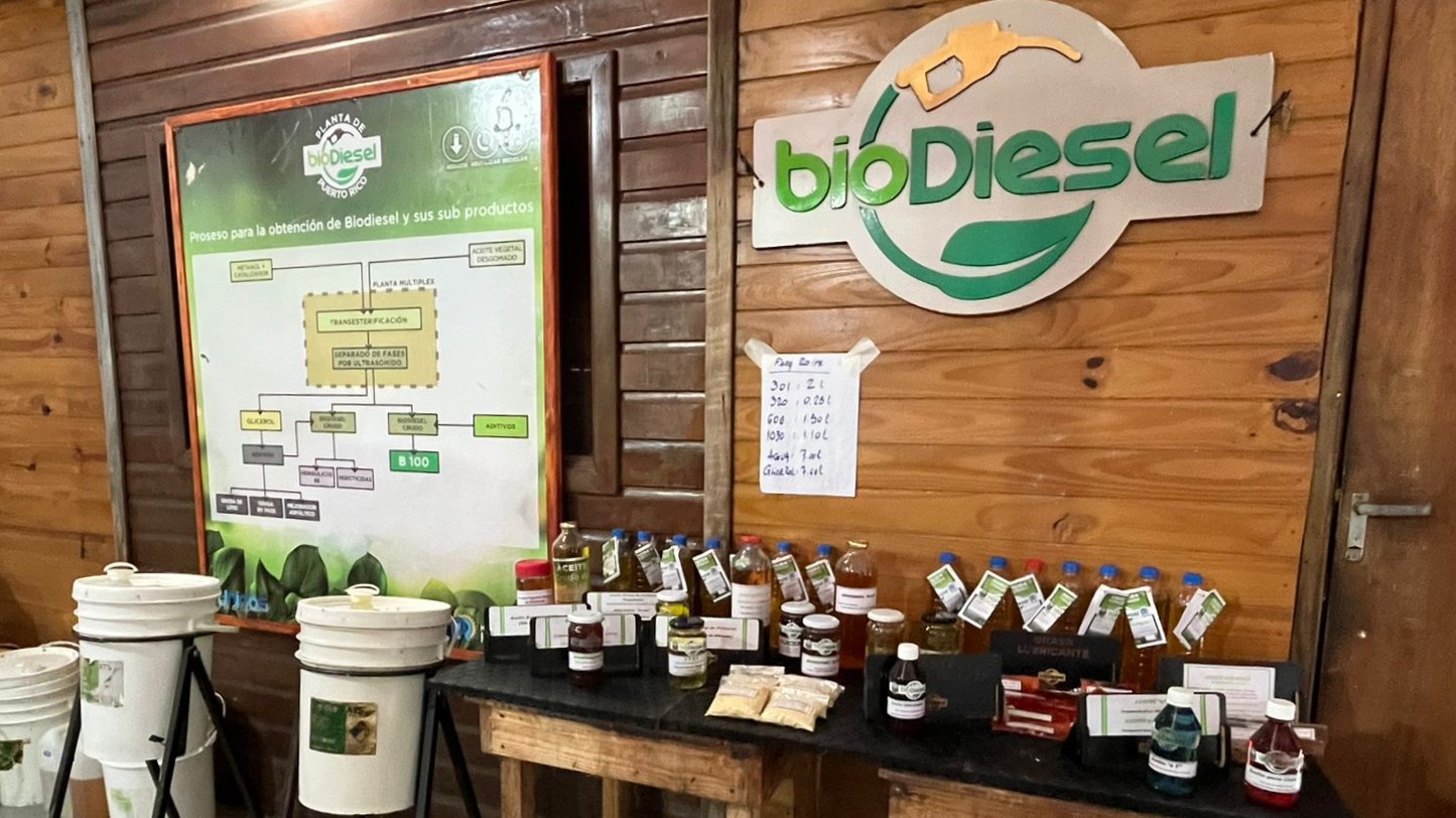 Puerto Rico: recolección de aceite