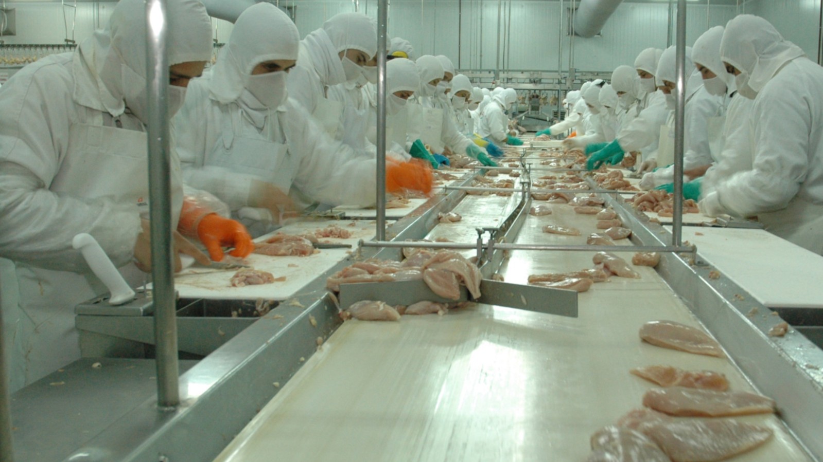 Avícola en problemas