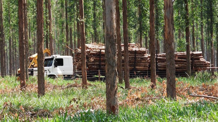 Paraguay: “Expo Madera Paraguay 2026”