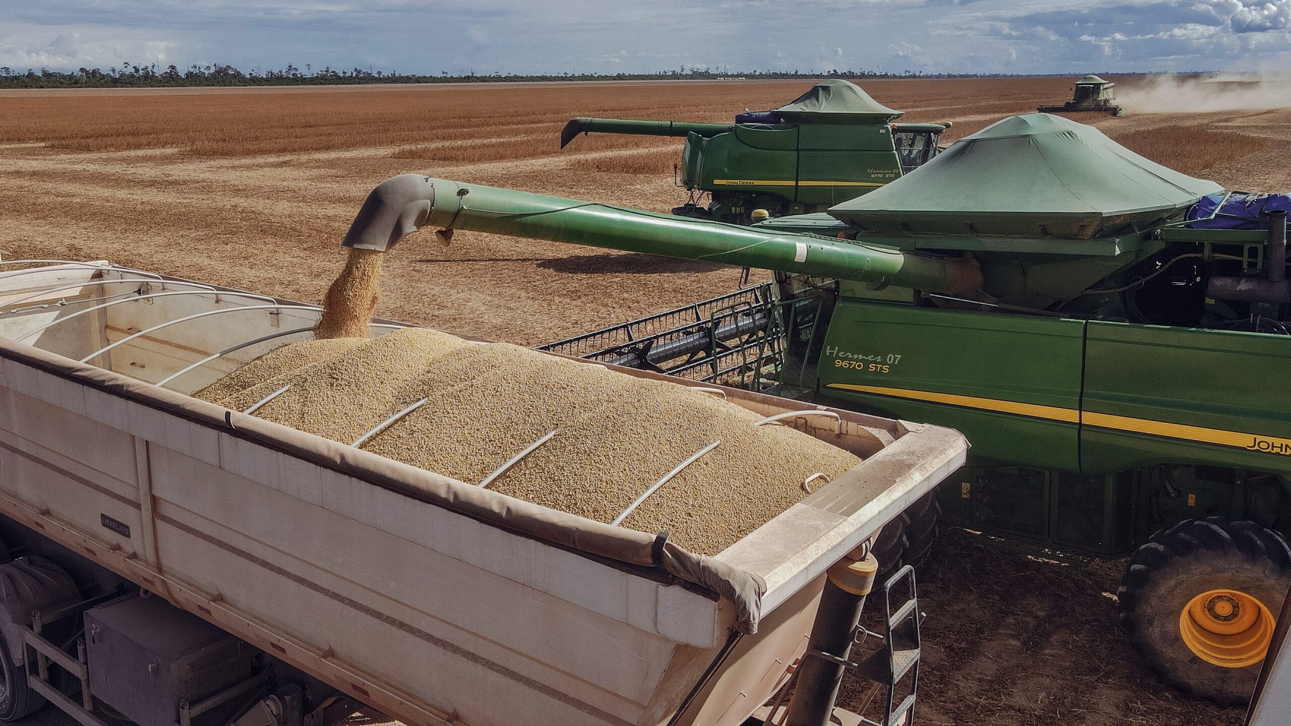 Paraguay: en julio las exportaciones crecieron un 34% con el empuje del campo.